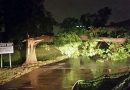 Tornado Wreaks Havoc on Midtown Tulsa